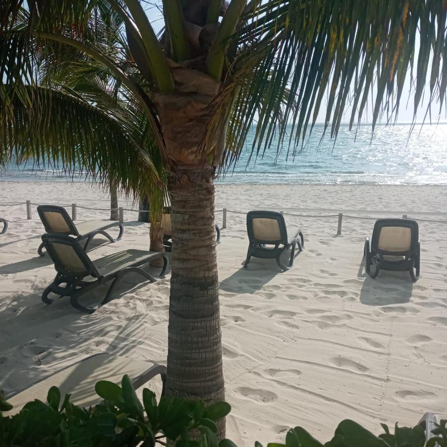 Апартаменти Swim The Caribbean & Work With A View Канкун Екстер'єр фото